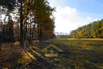 Działka Sprzedaż Ruś Mała