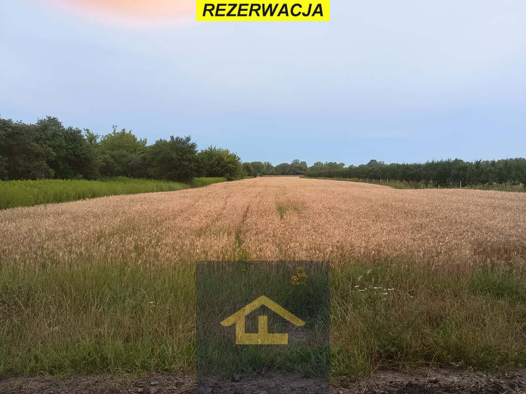Działka Sprzedaż Nadbrzeż