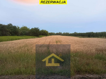 Działka Sprzedaż Nadbrzeż