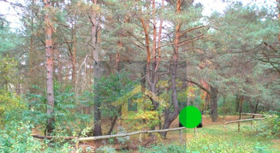 Działka Sprzedaż Wola Karczewska