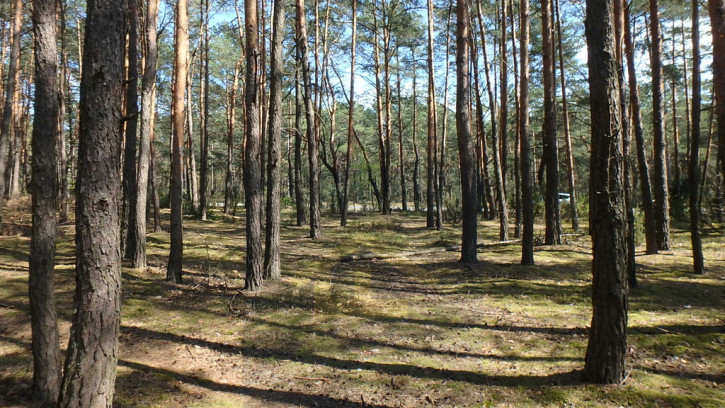 Działka Wynajem Otwock 7