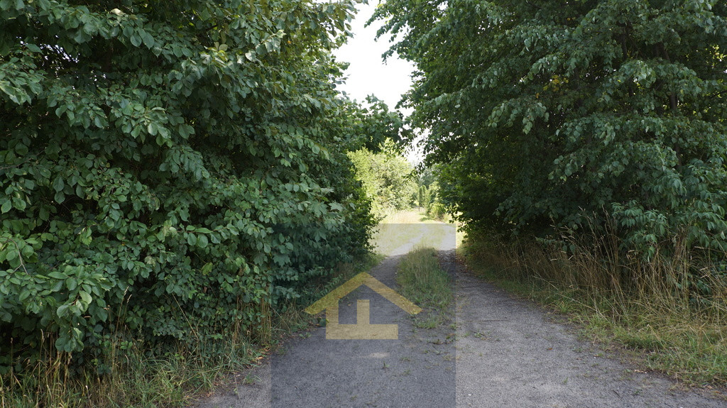 Działka Sprzedaż Otwock Wielki