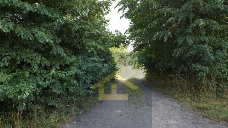 Działka Sprzedaż Otwock Wielki 1