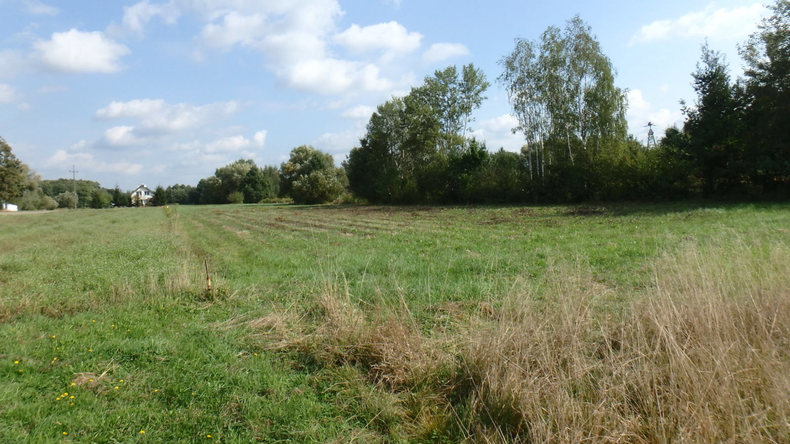 Działka Sprzedaż Ostrów