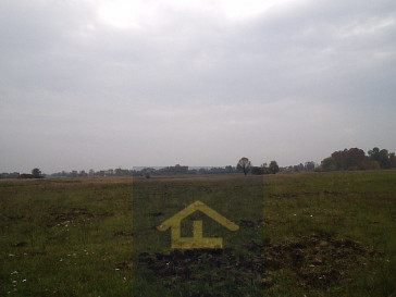 Działka Sprzedaż Całowanie