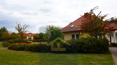 Obiekt Sprzedaż Całowanie
