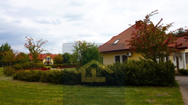 Obiekt Sprzedaż Całowanie 23