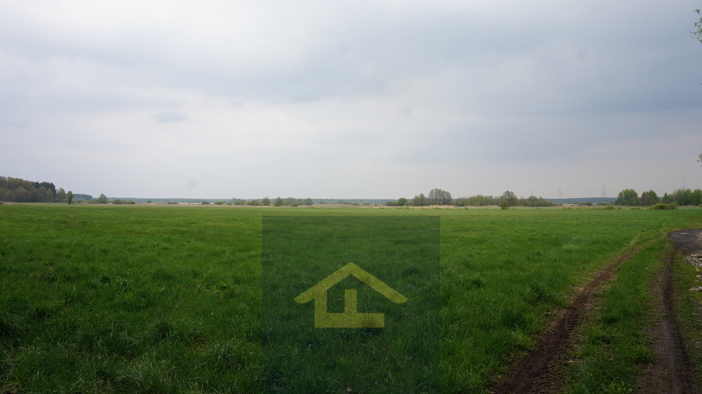 Działka Sprzedaż Całowanie