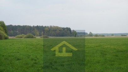Działka Sprzedaż Całowanie