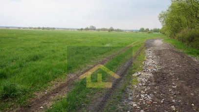 Działka Sprzedaż Całowanie
