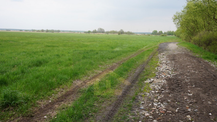Działka Sprzedaż Całowanie 7